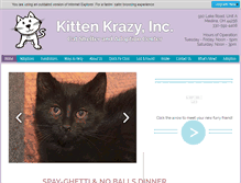 Tablet Screenshot of kittenkrazy.org